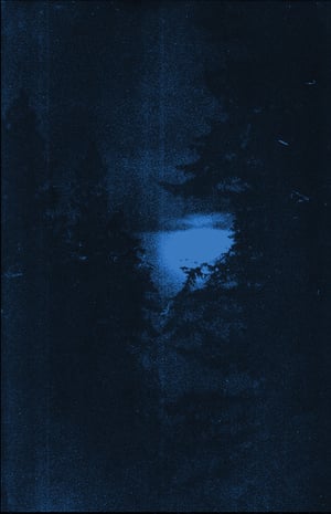 Image of SPECTRAL FIRS - THE MIST CLOAKED KINGDOM OF THE NORTH
