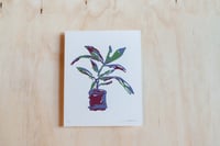 Image 1 of Dusk House Plant Screenprint