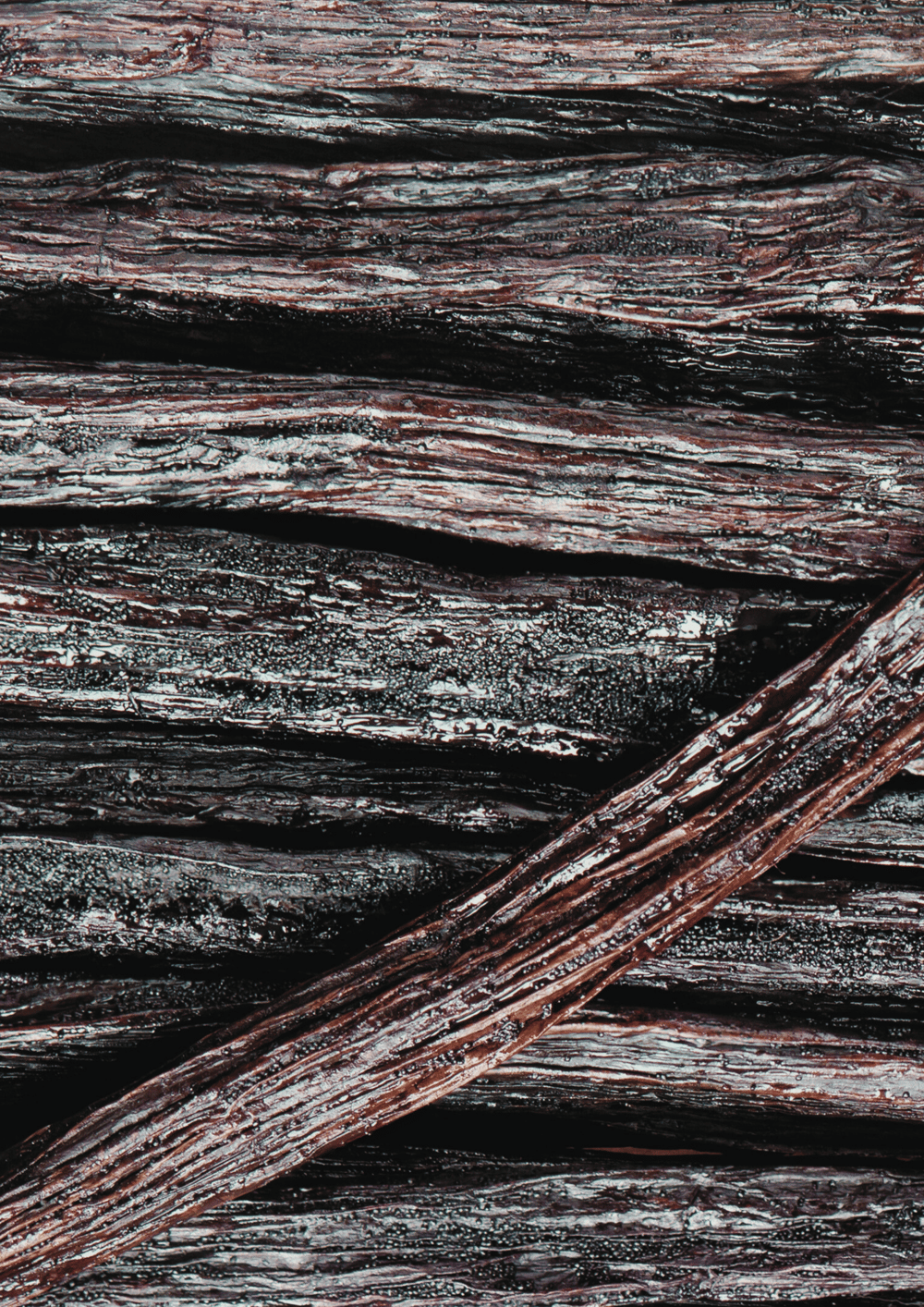 Image of Black Vanilla Signature Candle