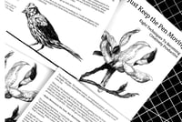 Image 6 of Zine: Just Keep the Pen Moving - Special Edition (Hibiscus)