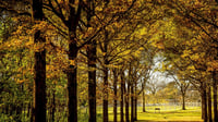 St James Farm Sunday Oct. 12th