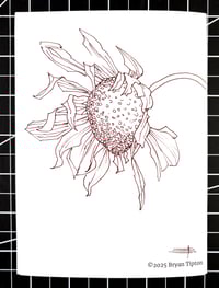 Image 2 of Zine: Just Keep the Pen Moving - Special Edition (Sunflower)