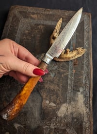 Image 4 of ⛧ BLOOD CEREMONY ⛧  ritual bone knife