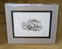 Image 2 of NEW! - Fungi - Mounted and Signed Prints