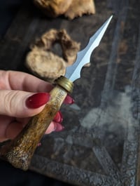 Image 3 of INCANTATION pocket Ritual Bone Knife