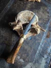 Image 4 of INCANTATION pocket Ritual Bone Knife