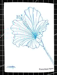 Image 2 of Zine: Just Keep the Pen Moving - Special Edition (Hibiscus)