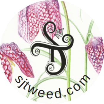 Image of Botanical Ink Giclée Prints - Mounted and Signed