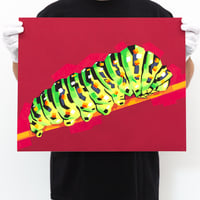 The Obanoth - Caterpillar