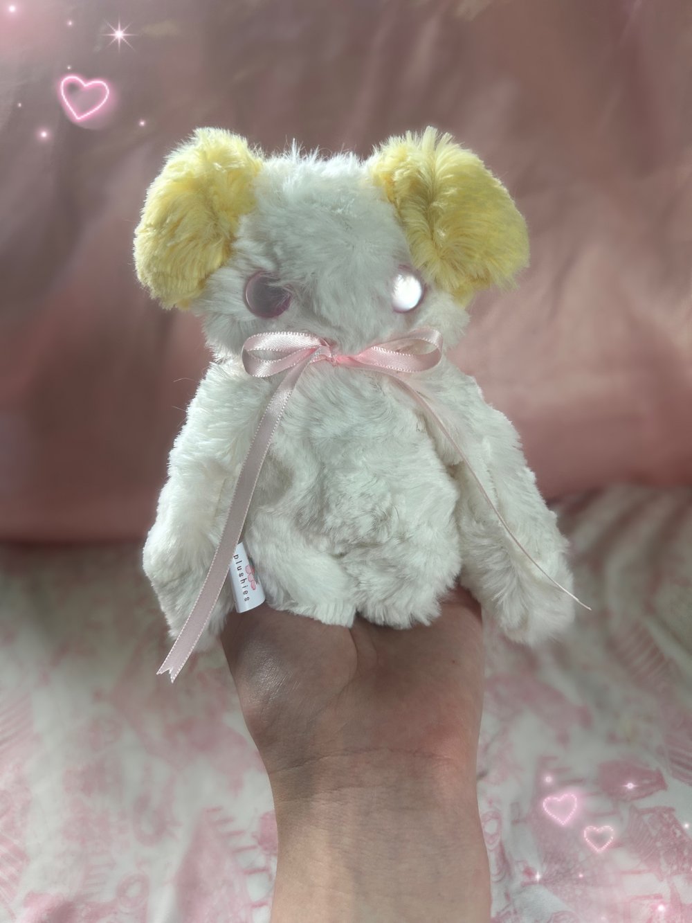 Image of oliver the puppy
