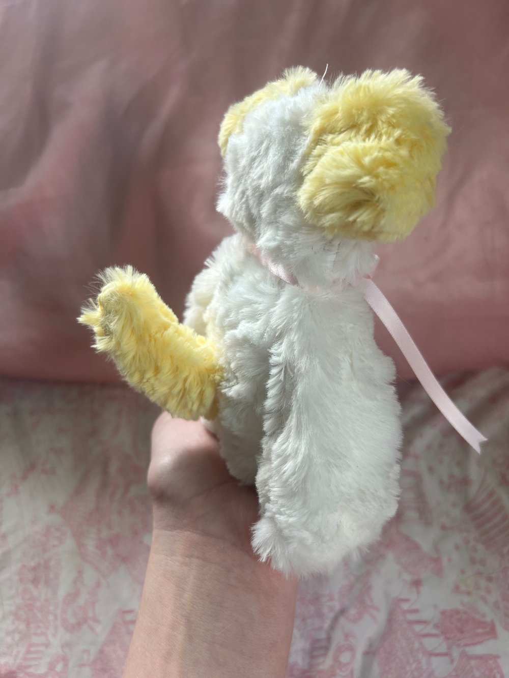 Image of oliver the puppy
