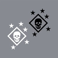 Image 1 of Raider Transfer Decal