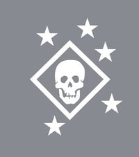 Image 2 of Raider Transfer Decal