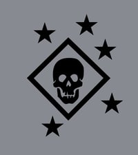 Image 3 of Raider Transfer Decal