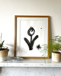 Image 2 of Tulip