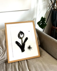 Image 4 of Tulip
