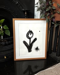 Image 1 of Tulip