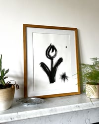 Image 3 of Tulip