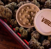 Image 3 of Vibes Santa Cruz 2pc White Shredder 