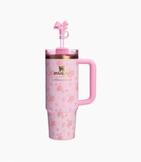 Image 1 of STANLEY 1913 X LOVESHACKFANCY QUENCHER H2.0 FLOWSTATE™ TUMBLER | 30 OZ “Ibiza Sunset”