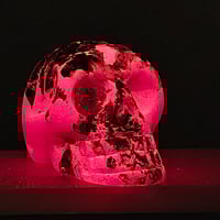 Image 2 of V1 skull- gold/red