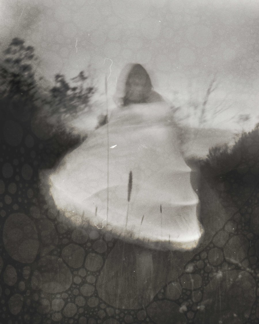 Image of Ghost Dancer I.