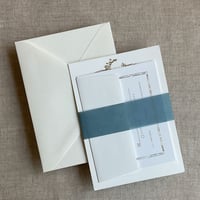 Image 8 of Blank Colored vellum paper belly bands  PACK of 10