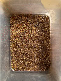 Image 2 of Seed - Eucalyptus Pauciflora – Snow Gum