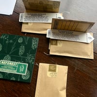 Image 1 of Seed - Eucalyptus Pauciflora – Snow Gum