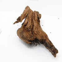 Image 1 of Shoreline Bliss  