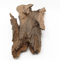 Image 2 of Shoreline Bliss  