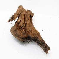 Image 3 of Shoreline Bliss  