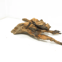 Image 3 of Saltwater Roots  