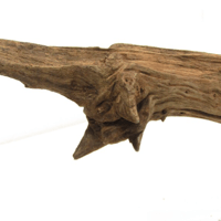 Image 2 of Ocean Tranquility  