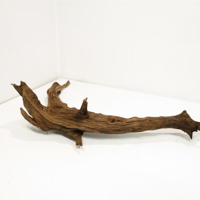 Image 3 of Ocean Tranquility  