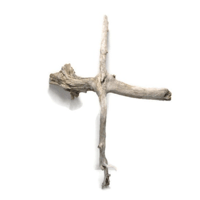 Image 2 of Coastal Charm  