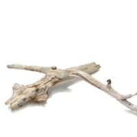 Image 3 of Coastal Charm  