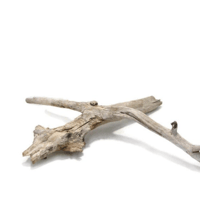 Image 1 of Coastal Charm  