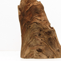 Image 2 of Sea Pathways  