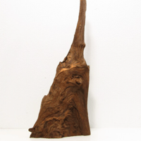 Image 1 of Sea Pathways  