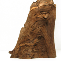 Image 3 of Sea Pathways  