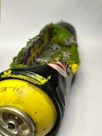 Image 2 of Lemon Drop 