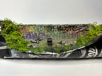 Image 5 of Dusty Alley 