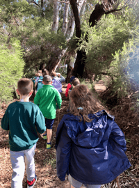 Image 4 of WILD CREATIVE KIDS