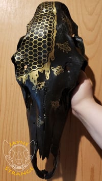 Deer Skull - Honeycomb