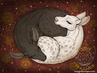 Image 1 of Digital Prints - Animals