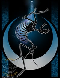 Image 3 of Digital Prints - Animal Skeletons and Skulls