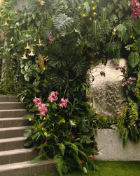 Image 4 of (Event) Shade & Sip: The Imaginarium of Wild Things