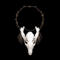 Image 4 of "Lana" Skull and Jaw Bone Necklace