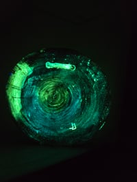 Image 7 of Purple phrog